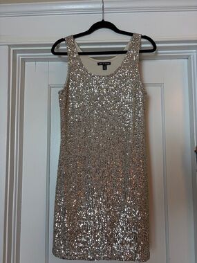 Cable & Gauge Silver Sequin Scoop Neck Mini Dress